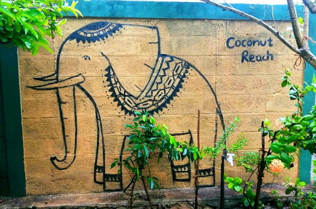 ホテル Coconut Reach ミリッサ エクステリア 写真