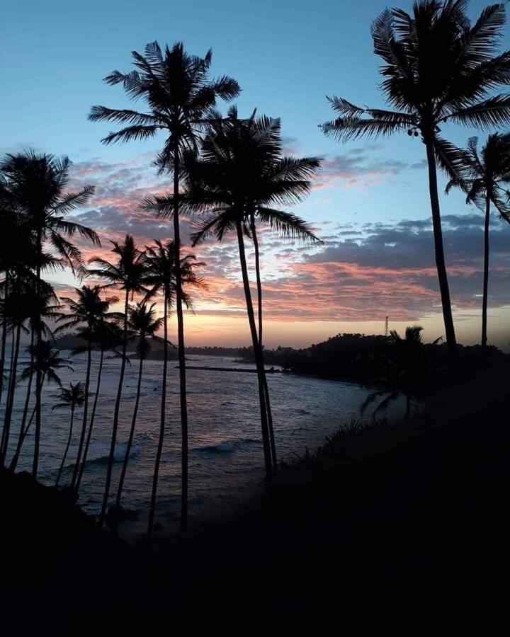 ホテル Coconut Reach ミリッサ エクステリア 写真