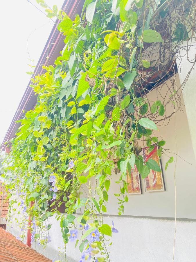 ホテル Coconut Reach ミリッサ エクステリア 写真